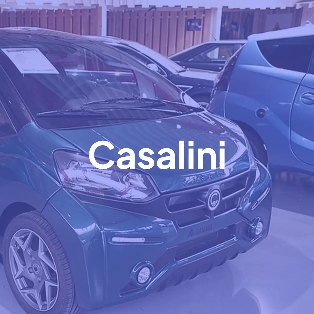 Logo Casalini